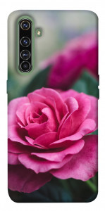 Чехол Роза в саду для Realme X50 Pro