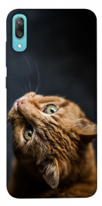 Чохол Рудий кіт для Huawei Y6 Pro (2019)