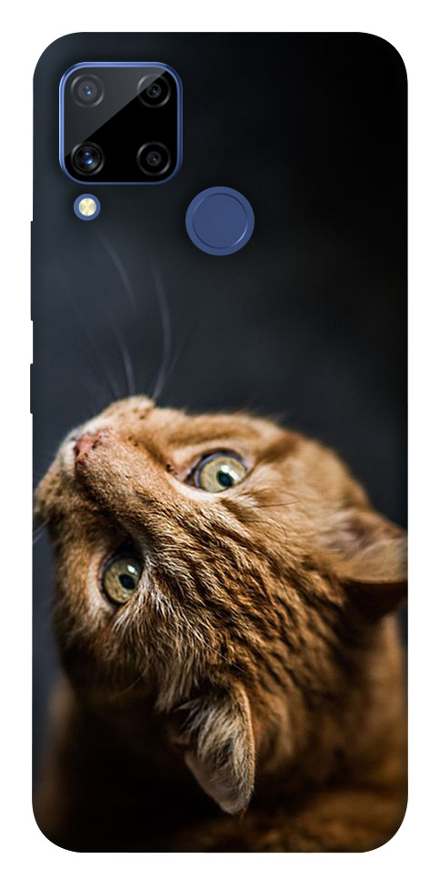 Чехол Рыжий кот для Realme C15