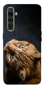Чохол Рудий кіт для Realme X50 Pro