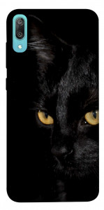 Чехол Черный кот для Huawei Y6 Pro (2019)