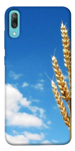 Чехол Пшеница для Huawei Y6 Pro (2019)