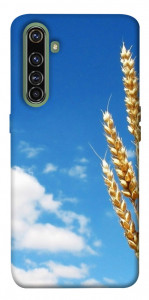 Чехол Пшеница для Realme X50 Pro