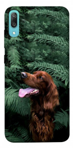 Чехол Собака в зелени для Huawei Y6 Pro (2019)
