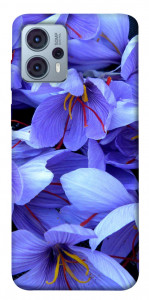 Чохол Фіолетовий сад для Motorola Moto G23