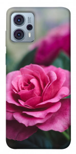 Чохол Троянда у саду для Motorola Moto G23