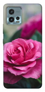 Чохол Троянда у саду для Motorola Moto G72