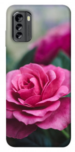 Чохол Троянда у саду для Nokia G60