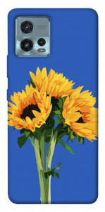 Чехол Bouquet of sunflowers для Motorola Moto G72