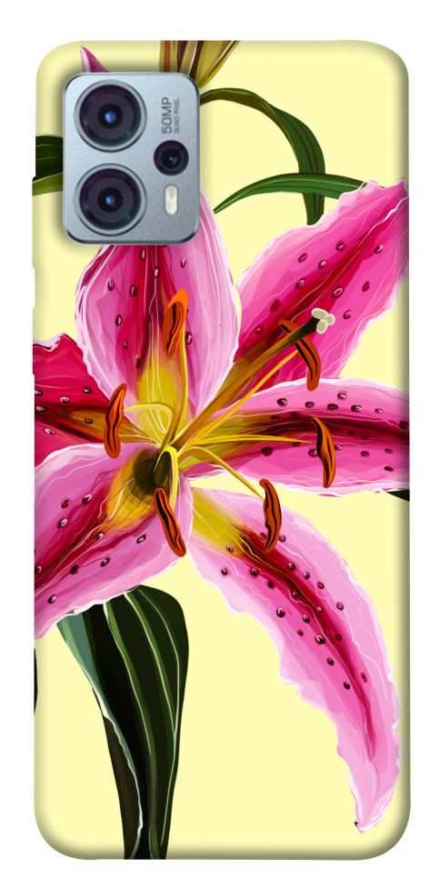 

Чохол Lily flower для Motorola Moto G23 1555542