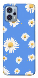 Чохол Chamomile pattern для Motorola Moto G23