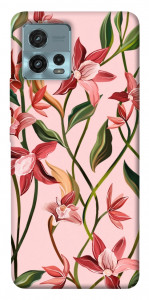 Чехол Floral motifs для Motorola Moto G72