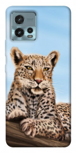 Чохол Proud leopard для Motorola Moto G72