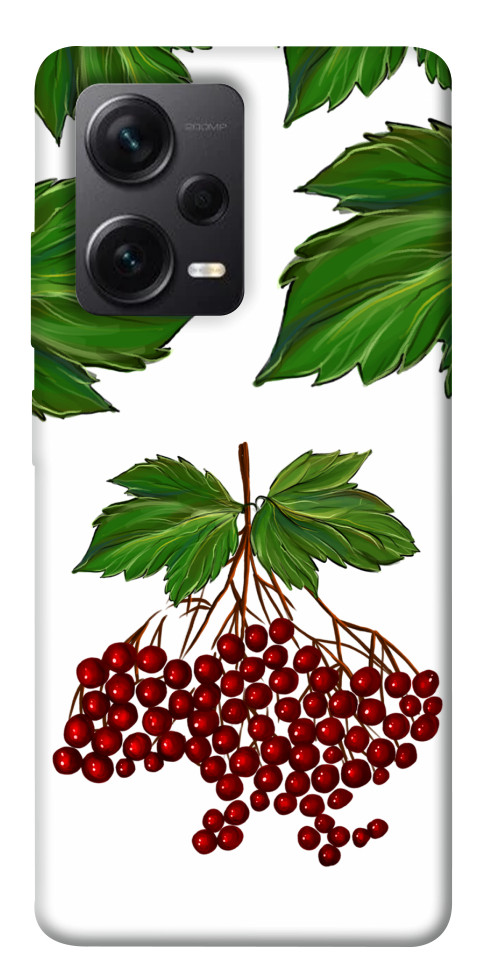 

Чехол Калина для Xiaomi Redmi Note 12 Pro+ 1562293