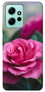 Чехол Роза в саду для Xiaomi Redmi Note 12 4G