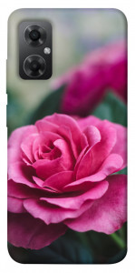 Чехол Роза в саду для Xiaomi Redmi Note 11R