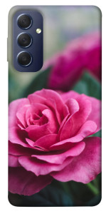 Чехол Роза в саду для Galaxy M54 5G