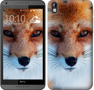 

Чохол Руда лисиця на HTC Desire 816 78600