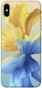 Чехол Абстрактный цветок для iPhone XS Max