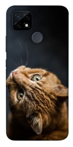 Чехол Рыжий кот для Realme C12