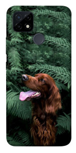 Чехол Собака в зелени для Realme C12