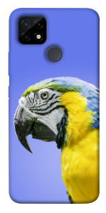 Чохол Папуга ара для Realme C12