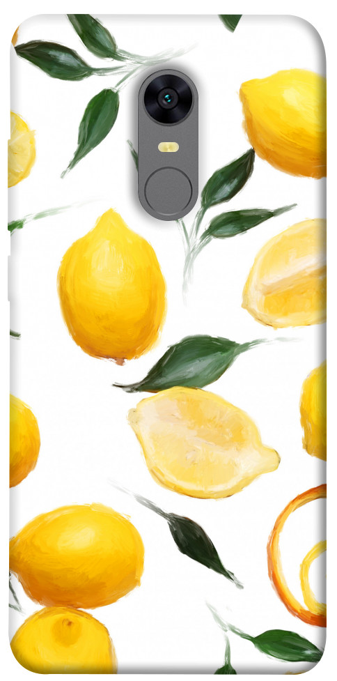

Чехол Lemons для Xiaomi Redmi 5 1614300
