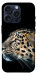 Чехол Leopard для iPhone 15 Pro