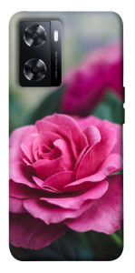 Чехол Роза в саду для OnePlus Nord N20 SE