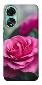 Чехол Роза в саду для Oppo A78 4G