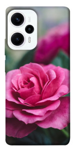 Чехол Роза в саду для Xiaomi Poco F5