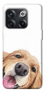 Чехол Funny dog для OnePlus 10T