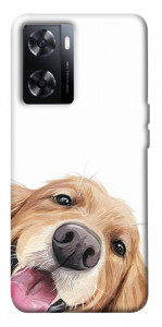 Чехол Funny dog для OnePlus Nord N20 SE