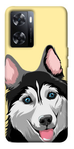 Чехол Husky dog для OnePlus Nord N20 SE