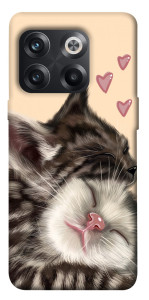 Чехол Cats love для OnePlus 10T