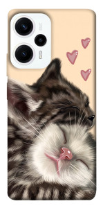 Чехол Cats love для Xiaomi Poco F5