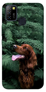 Чехол Собака в зелени для Infinix Hot 10 Lite