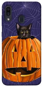 Чохол Cat and pumpkin для Samsung Galaxy A30