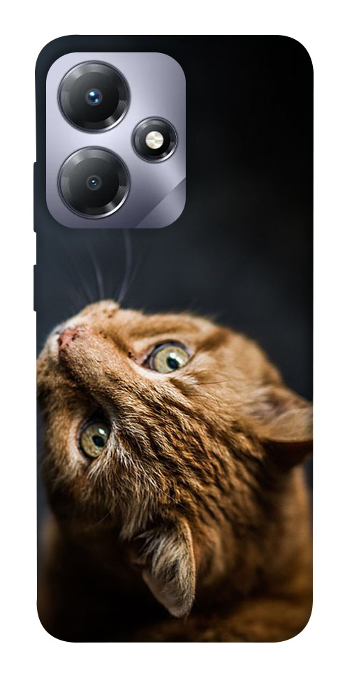 

Чохол Рудий кіт для Infinix Hot 30 1656206