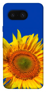 Чехол Sunflower для Google Pixel 8