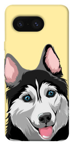 Чехол Husky dog для Google Pixel 8