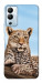 Чехол Proud leopard для Infinix Hot 12i