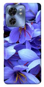 Чохол Фіолетовий сад для Motorola Edge 40