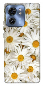 Чехол Chamomile для Motorola Edge 40