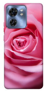 Чохол Pink bud для Motorola Edge 40