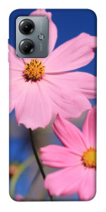 Чохол Рожева ромашка для Motorola Moto G14