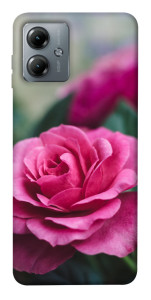 Чохол Троянда у саду для Motorola Moto G14