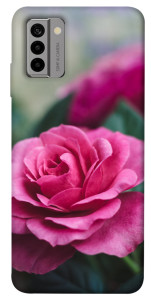 Чехол Роза в саду для Nokia G22