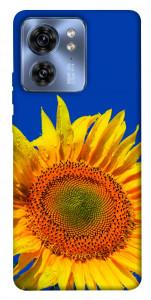 Чехол Sunflower для Motorola Edge 40