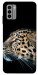 Чохол Leopard для Nokia G22